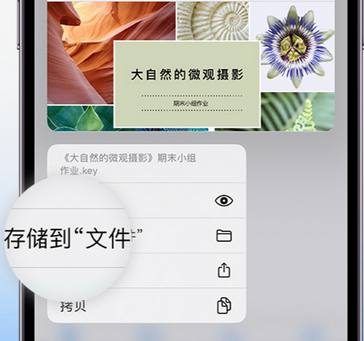 鄄城apple维修中心分享iPhone文件应用中存储和找到下载文件