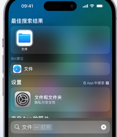 鄄城apple维修中心分享iPhone文件应用中存储和找到下载文件 