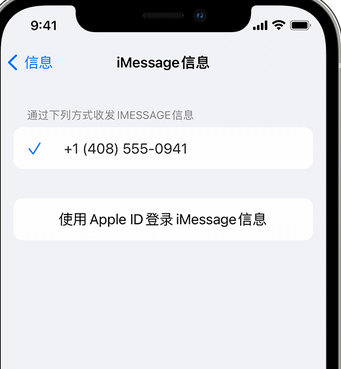 鄄城apple维修iPhone上无法正常发送iMessage信息 