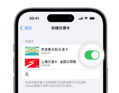 鄄城apple维修点分享iPhone上更换Apple Pay快捷交通卡手绘卡面 