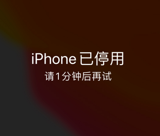 鄄城苹果手机维修分享:iPhone 显示“不可用”或“已停用”怎么办？还能保留数据吗？ 