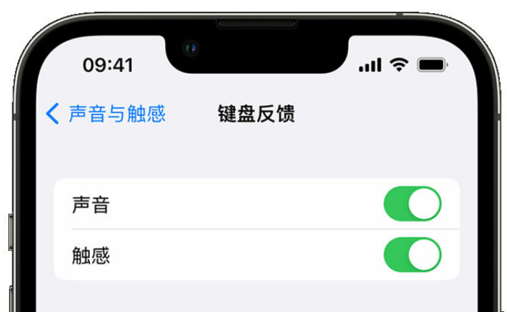 鄄城苹果手机维修分享iPhone 14触感键盘使用方法 