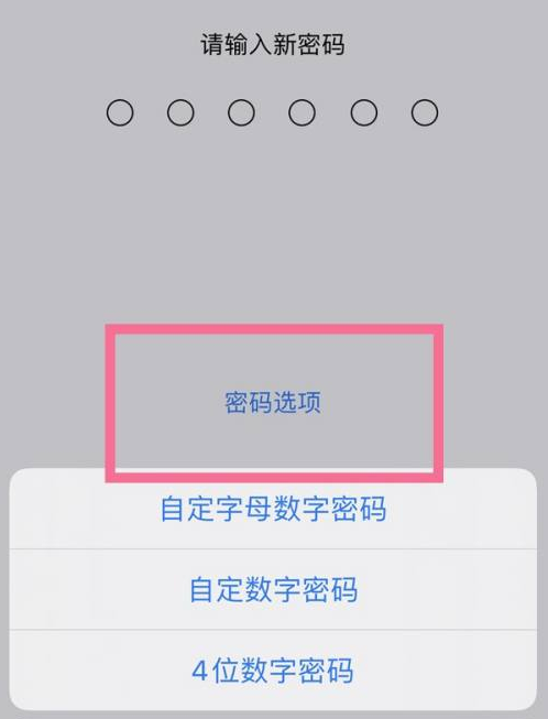 鄄城苹果14维修分享iPhone 14plus设置密码的方法 