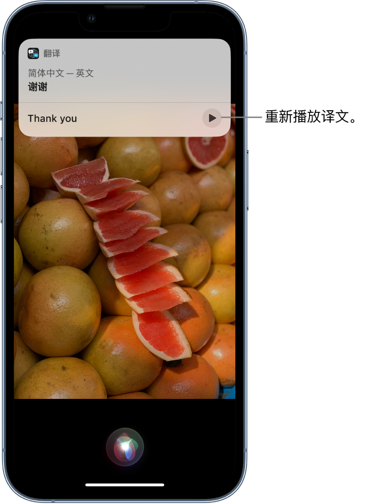 鄄城苹果14维修分享 iPhone 14 机型中使用 Siri：了解 Siri 能帮你做什么 