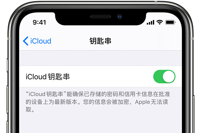 鄄城苹果手机维修分享在 iPhone 上开启 iCloud 钥匙串之后会储存哪些信息 