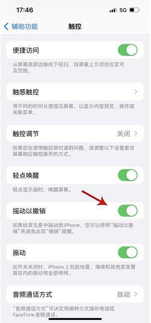 鄄城苹果手机维修分享iPhone手机如何设置摇一摇删除文字 