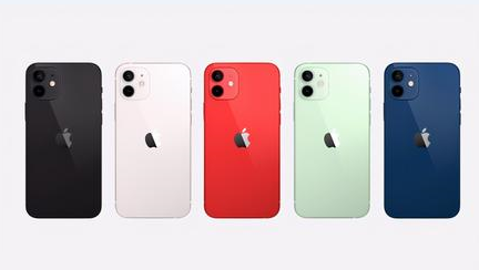 鄄城苹果维修点分享iPhone 12锁屏密码系统机制科普 